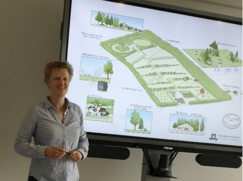 Heleen van Kernebeek (WUR) geeft toelichting over ontwerp van een agorforestry ontwerp voor het melkveebedrijf